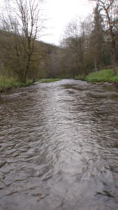 Downstream-wading